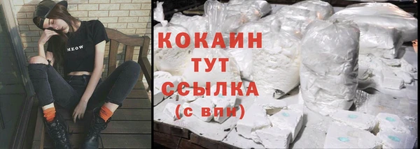 соль ск Алзамай