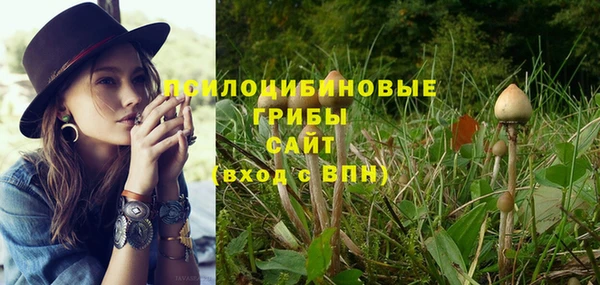 a pvp Алексеевка
