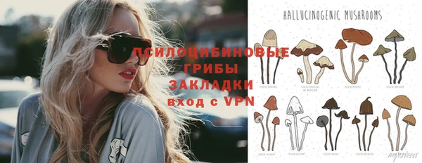 синтетический гашиш Алексин