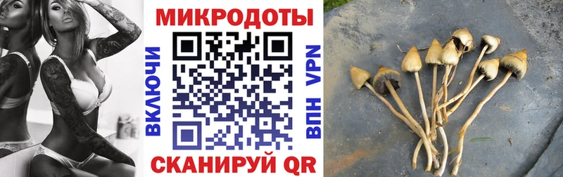 где купить   Нижний Новгород  Галлюциногенные грибы GOLDEN TEACHER 